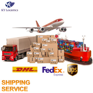 Air Sea DDP LCL International Freight Forwarder
