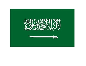 Saudi Customs Approved Door-to-Door Shipping Service