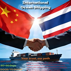 Professional Sea Freight Forwarder DDP DAP